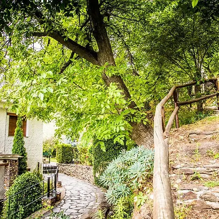 Llanos